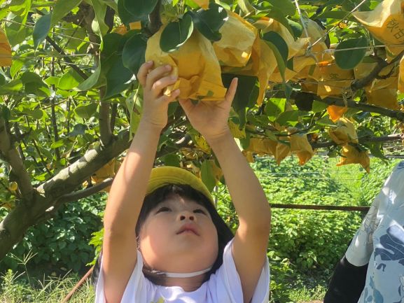 産地体験会様子